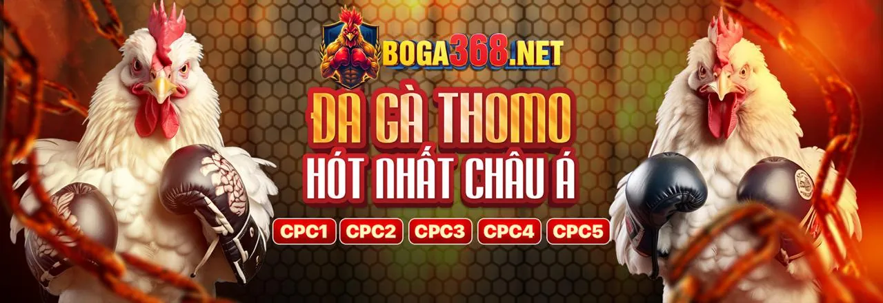 Sảnh Đá Gà Trực Tuyến 5pet win